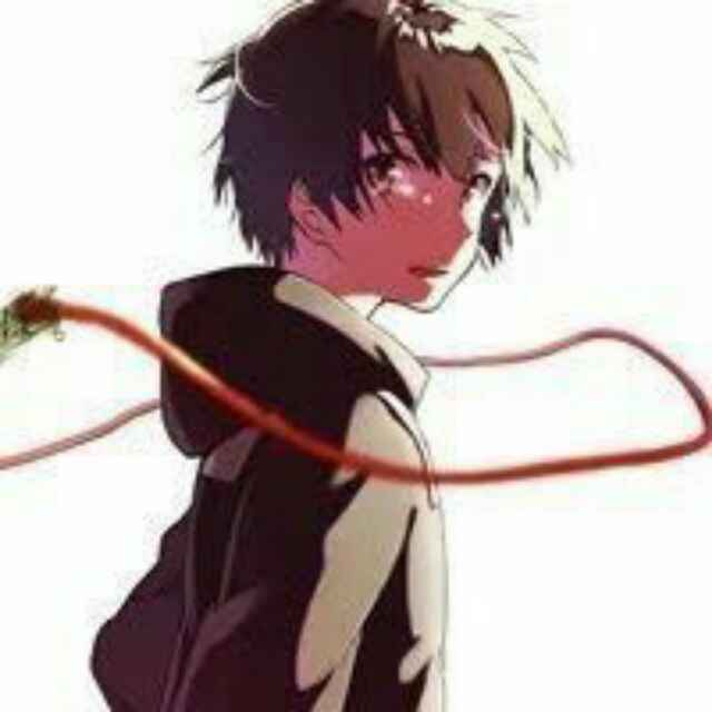 User4177009