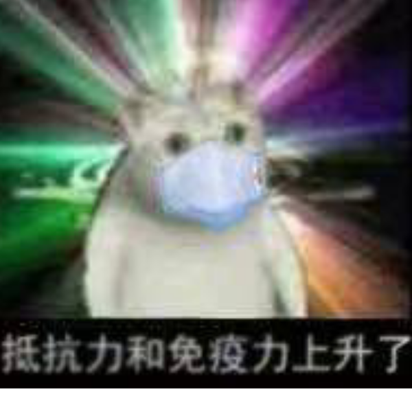 萝卜呵呵