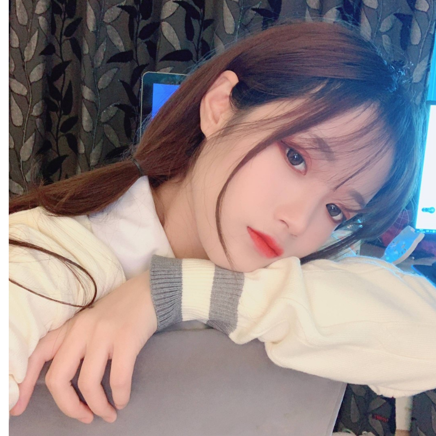 小只洱