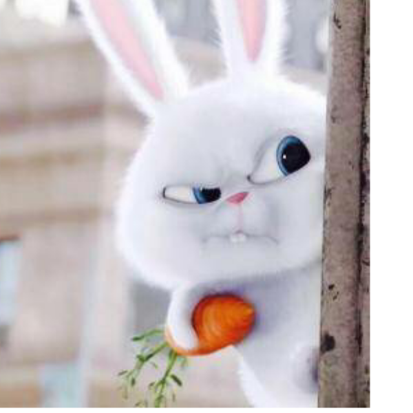 手机用户21222154