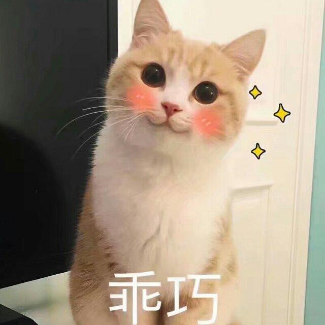 lan柯不是nan柯