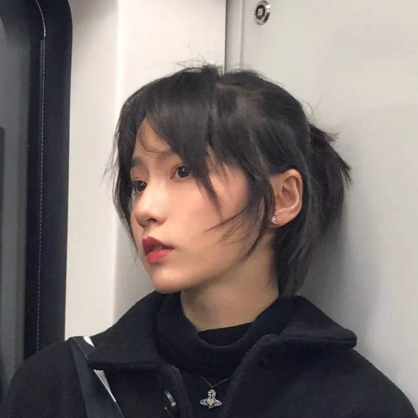 犬开来八荒