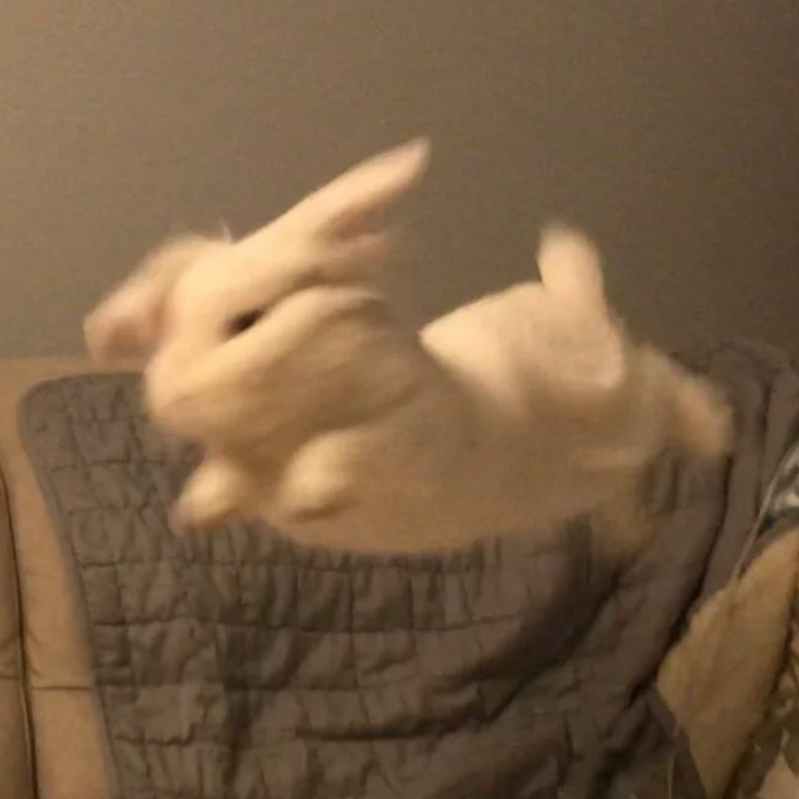 挖泥巴