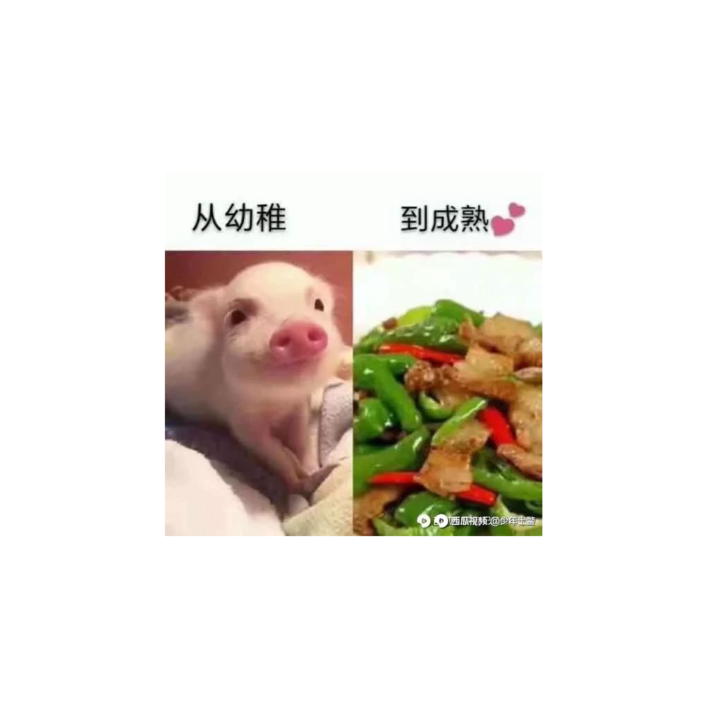 为什么我是这个头像？