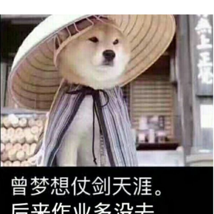 停止思考了