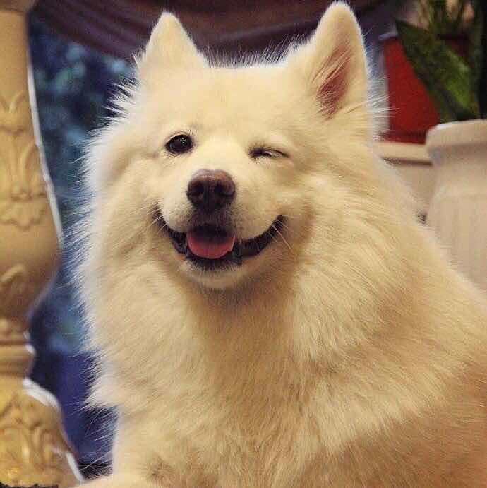 月半钦
