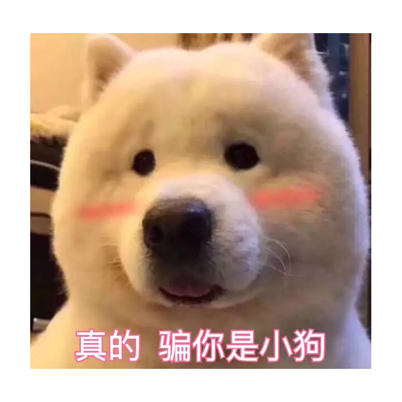 复活吧，阿伟