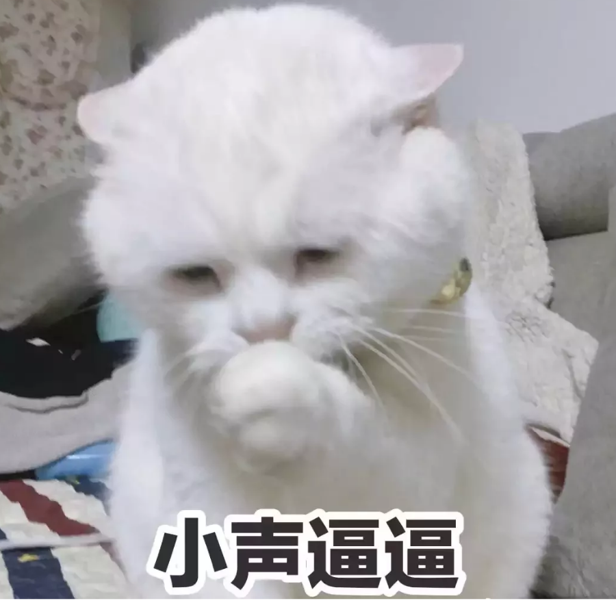 嗷呜君