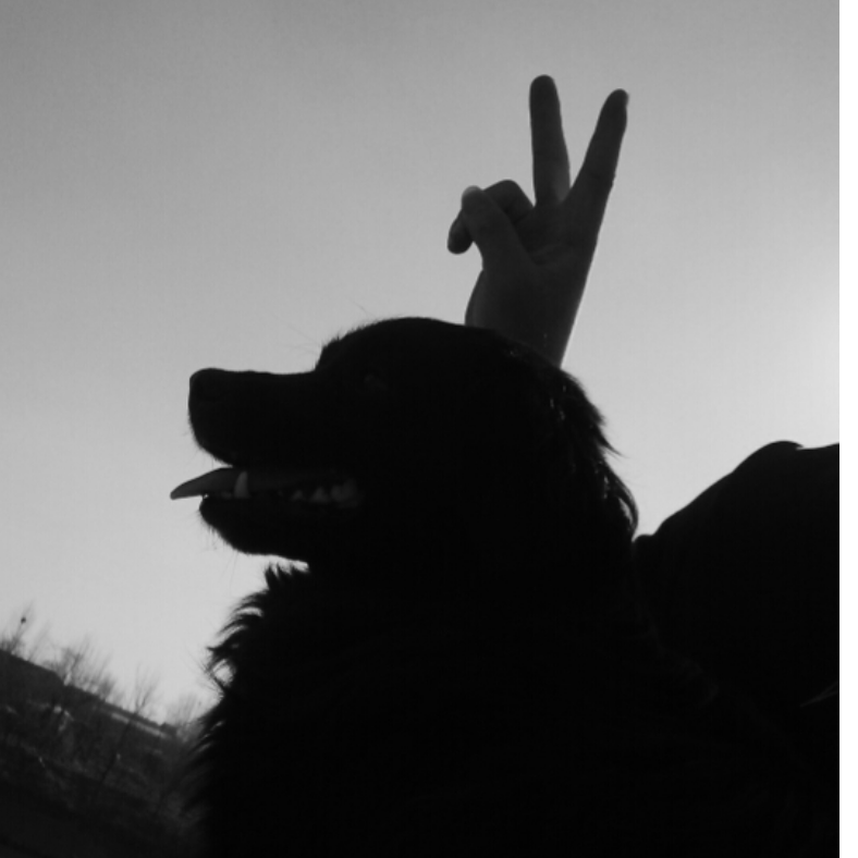一名优秀的网友.