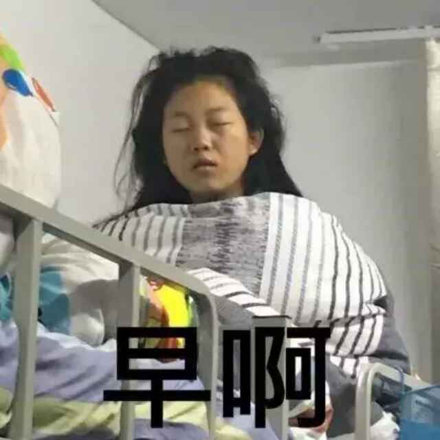 小月亮的双排日记