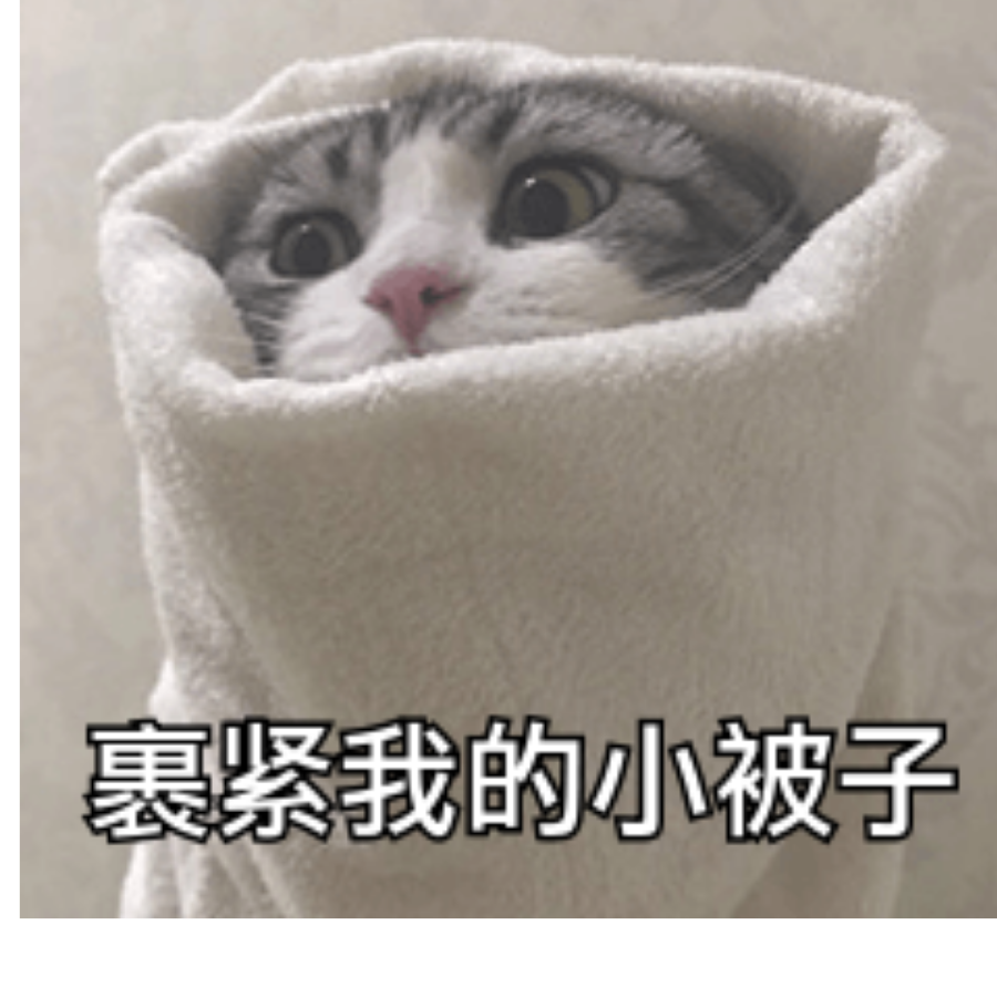 希希大婊贝