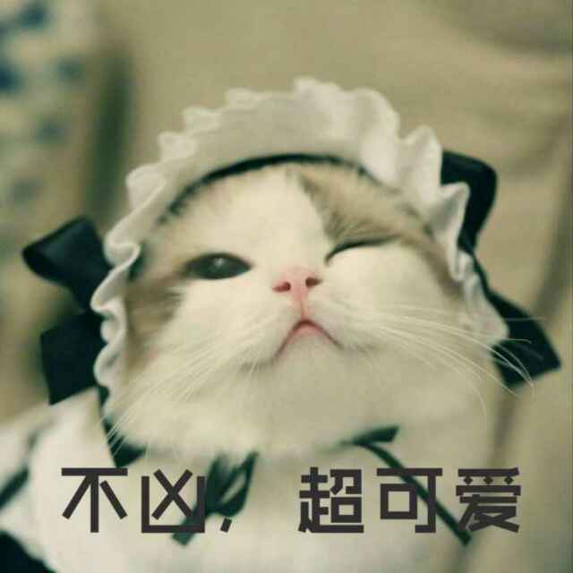 羊咩咩
