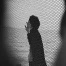 五年份的明太子