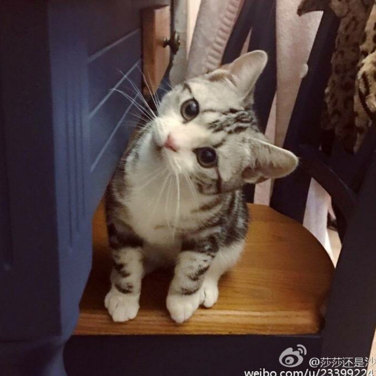 孟婆来碗汤