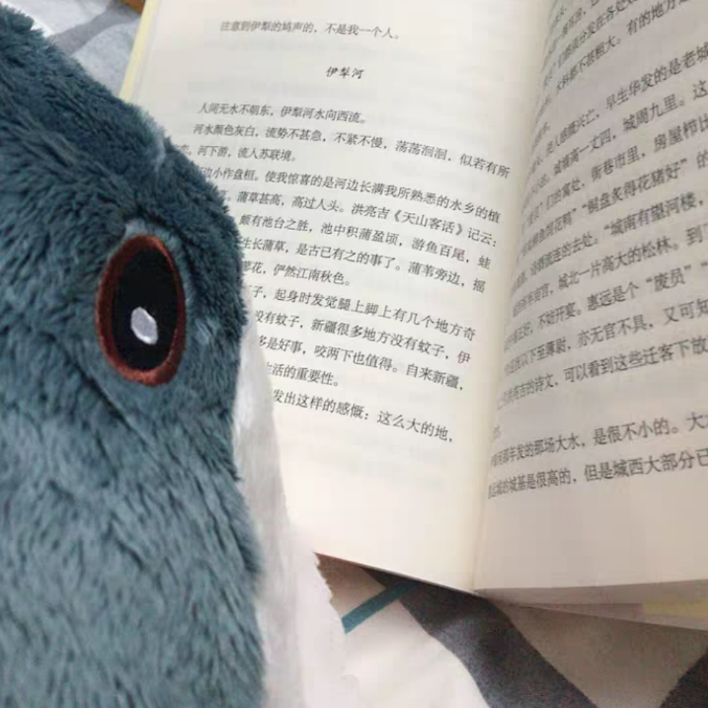 逍遥法外小白龙