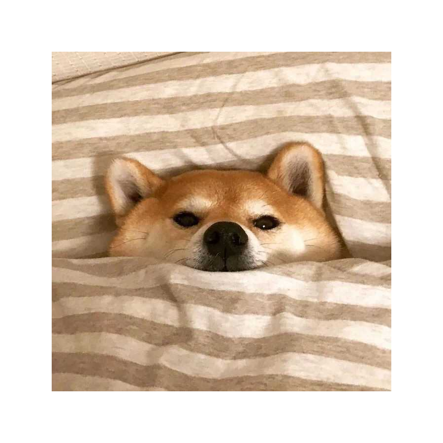 向阳