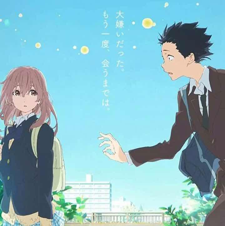 波啵儿