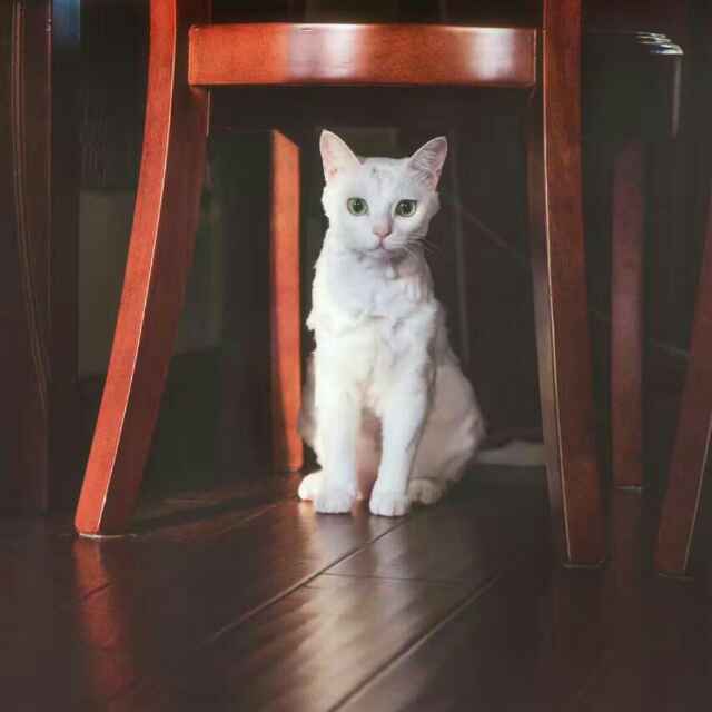 北辰.