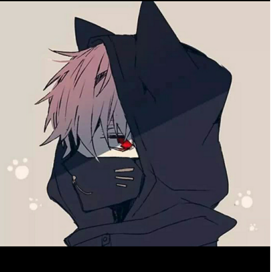 小小彡黑猫