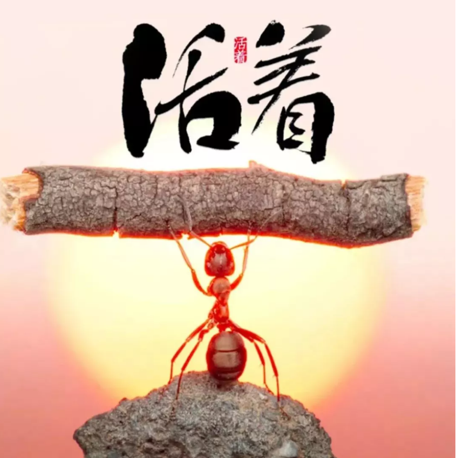 三里清风三里路