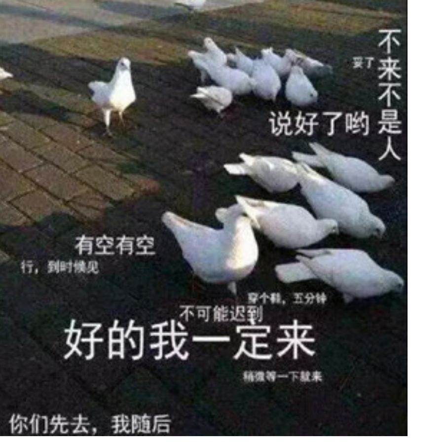 梦四