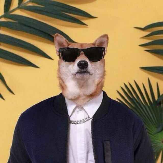 滕兴童