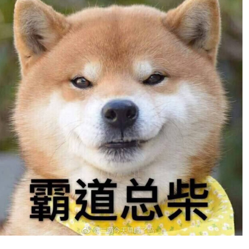 手机用户35687500