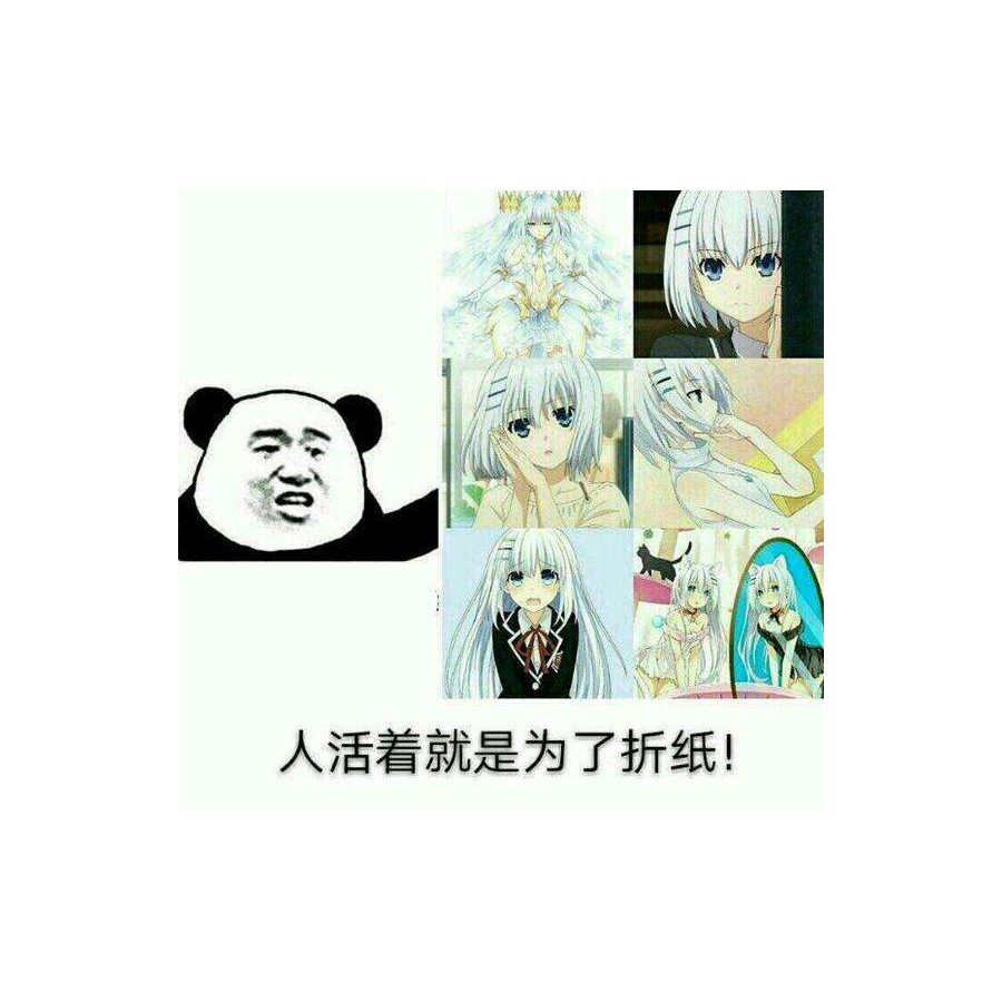 人活着就是为了折纸