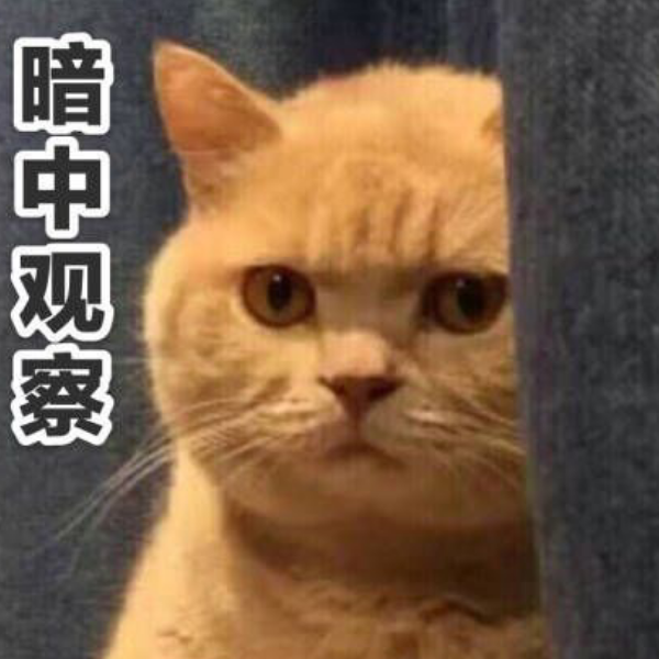 手机用户60401406