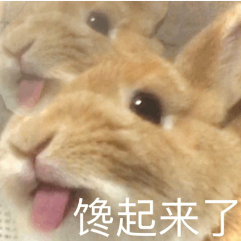 秋刀鸡腿儿