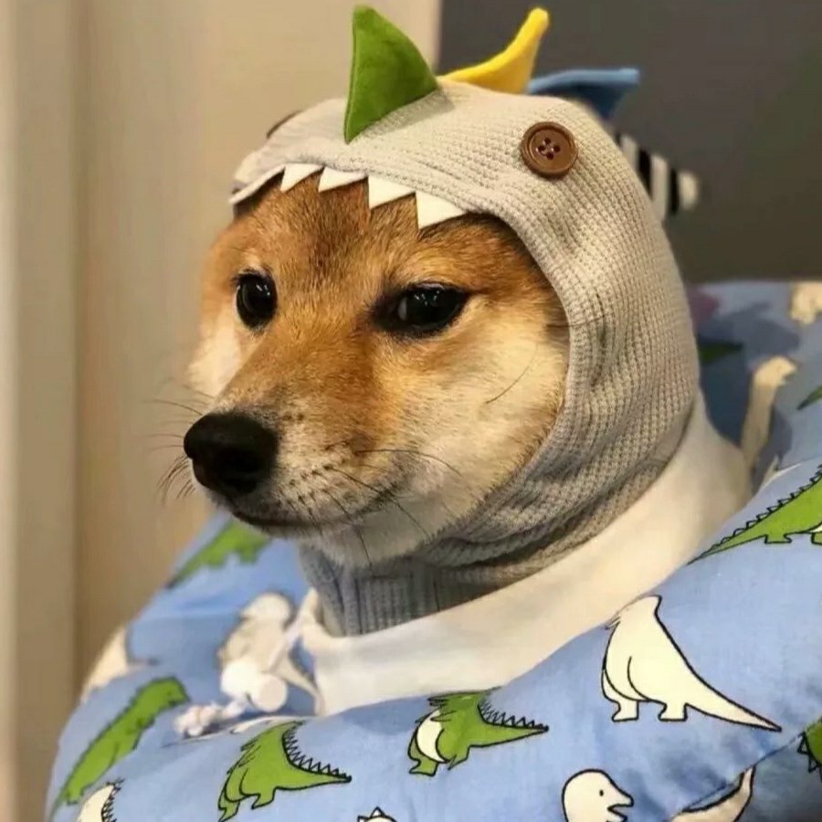 阿冻