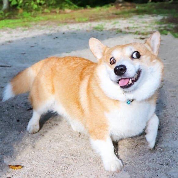 冬行