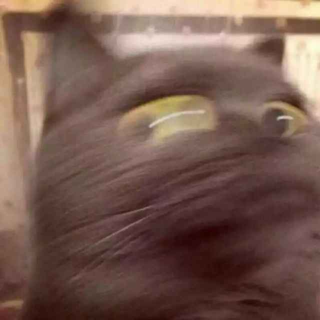 泛化