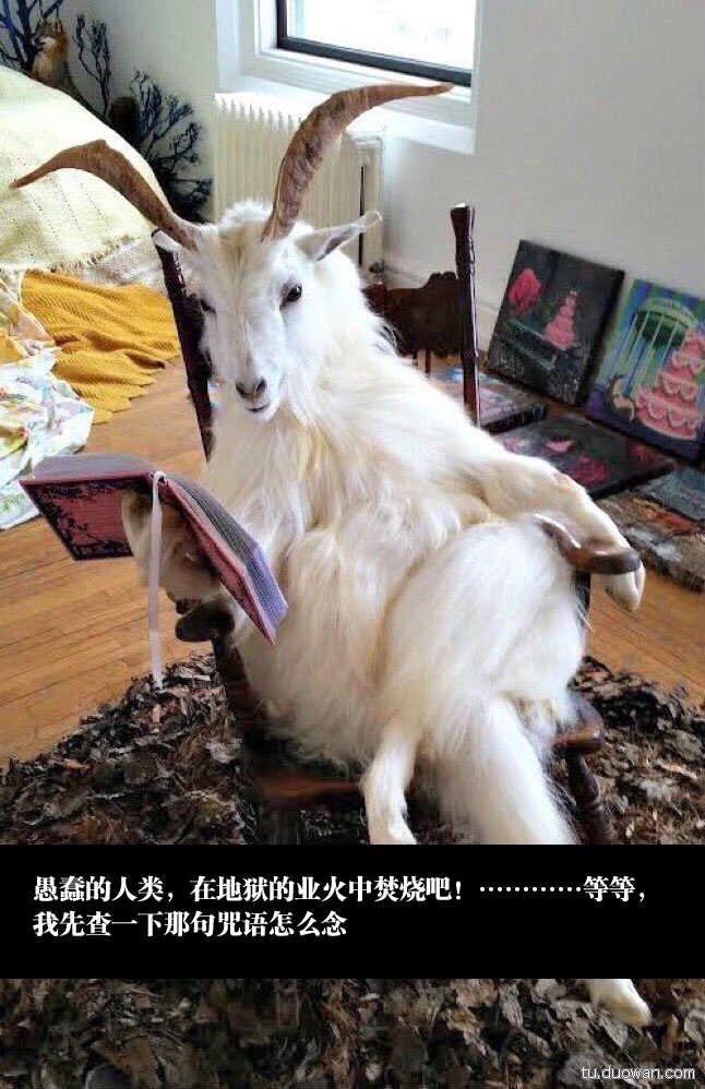 李长信
