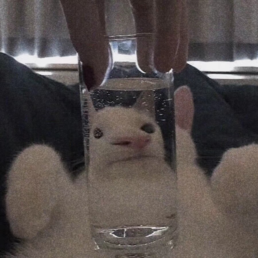 独木桥