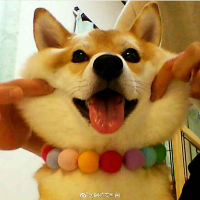一步之遥