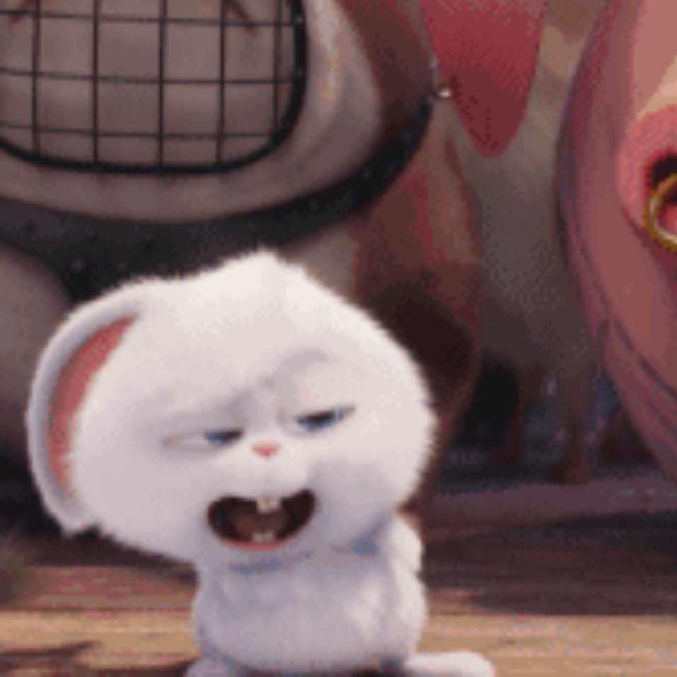 🐽