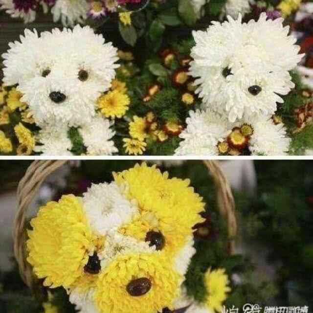 大前天