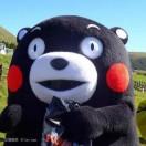 平生无趣