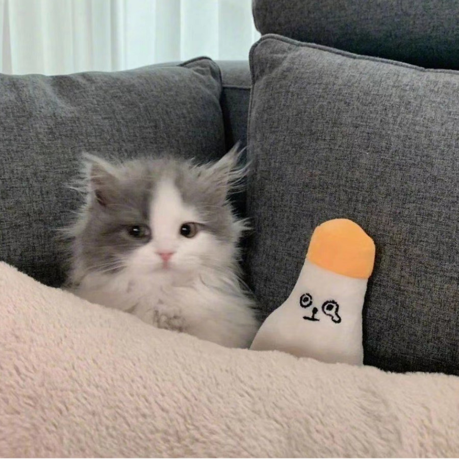 江渡