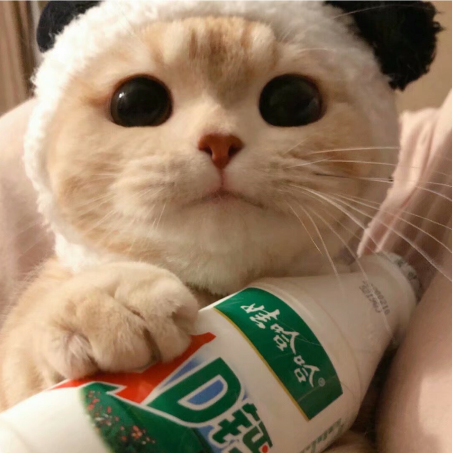 致淮南