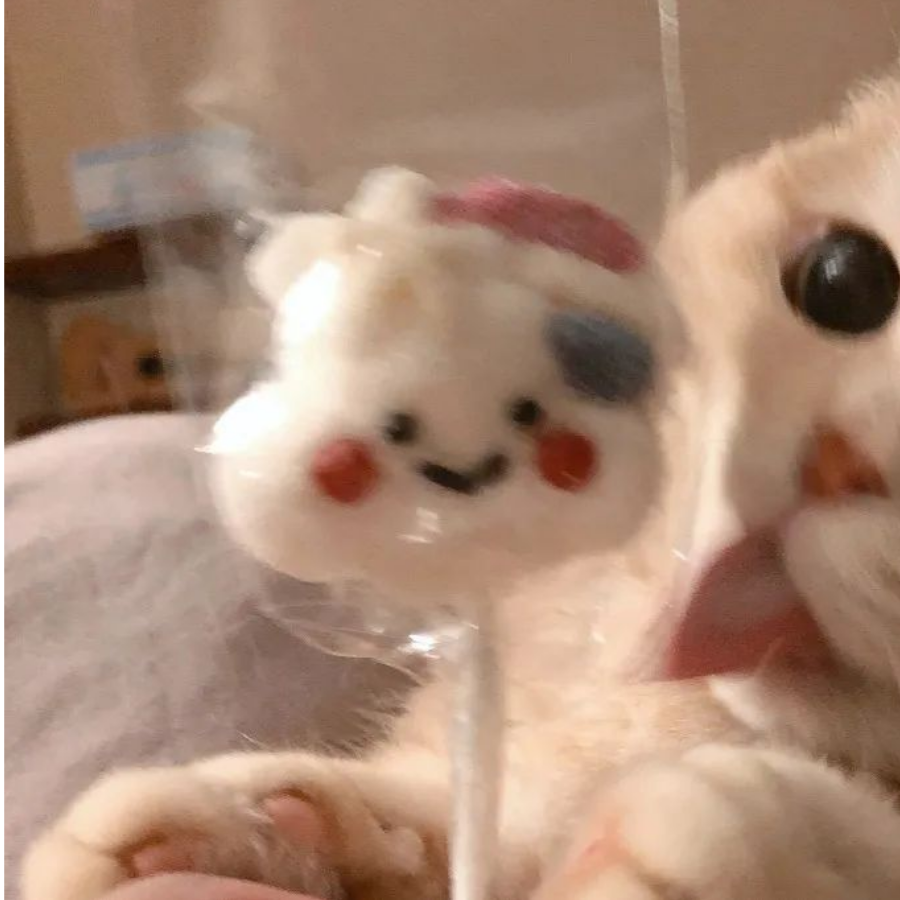 陆十二