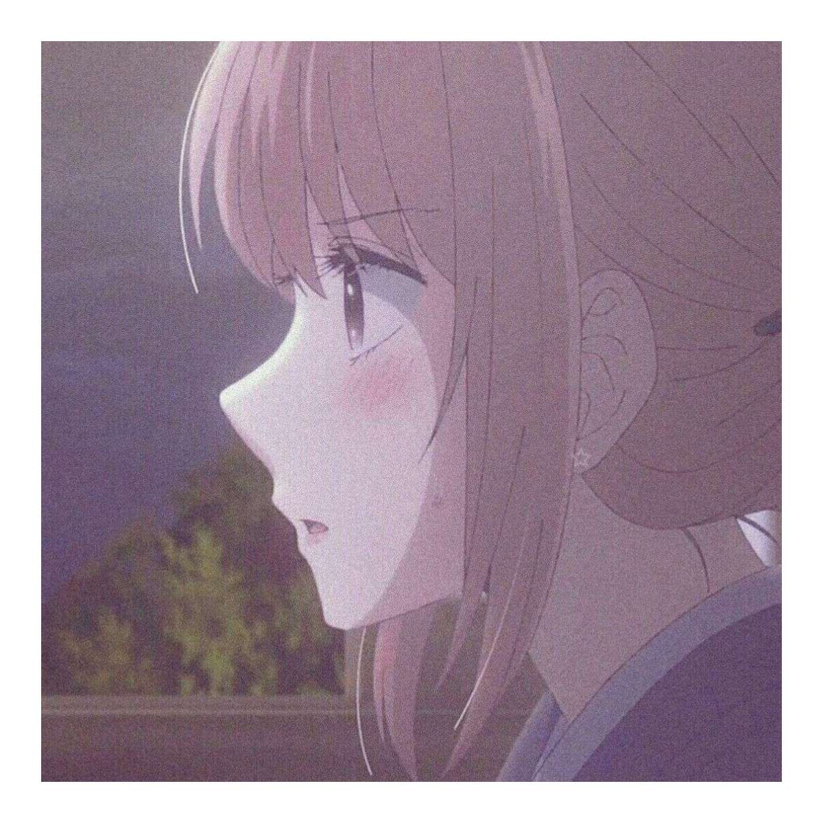 筱豪