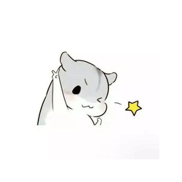 User48166480