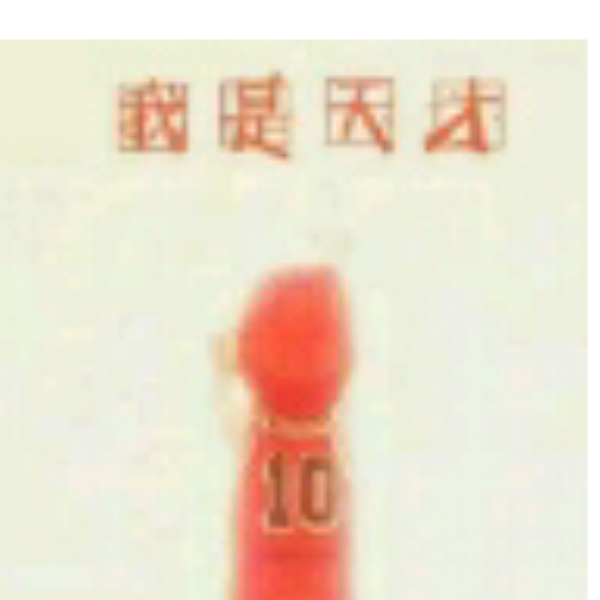 茶梗树