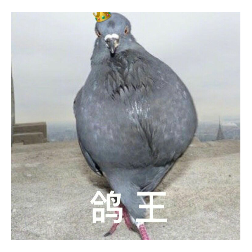 早点睡觉