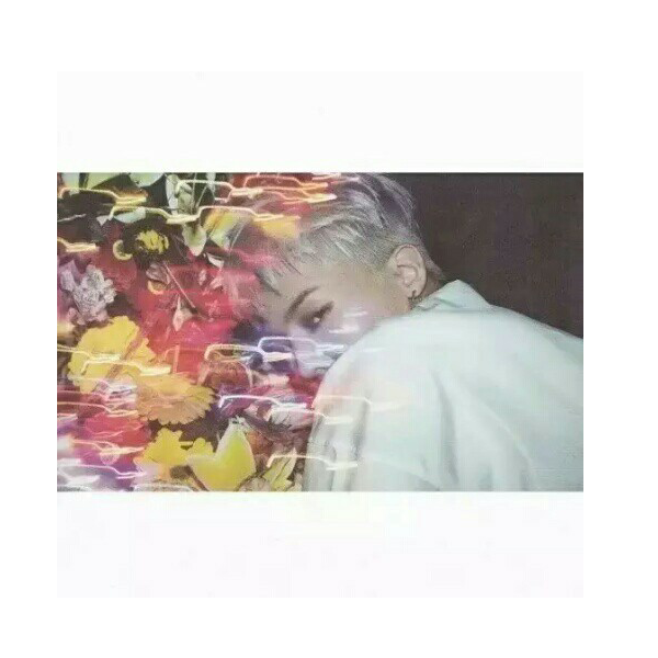 Soves丶HBB