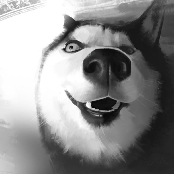 MooYoo