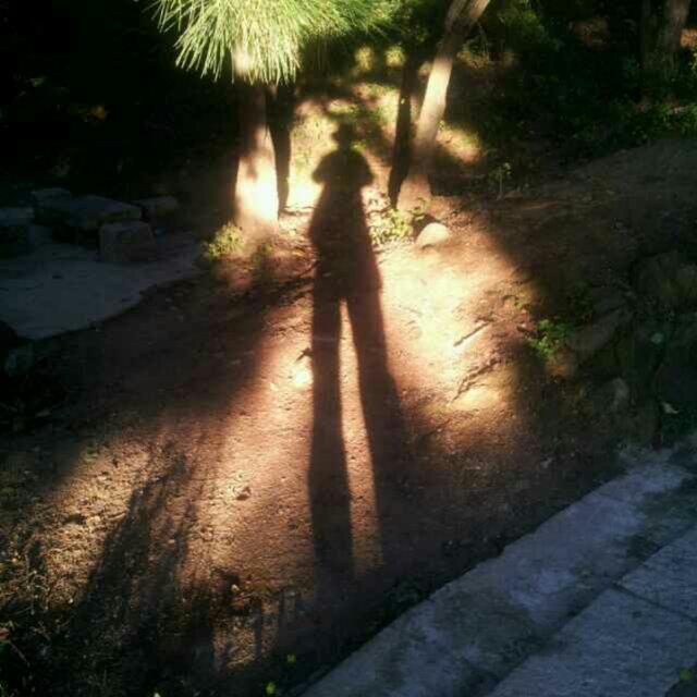 Elgnairt