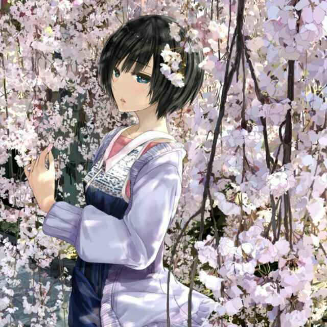 迷亚希